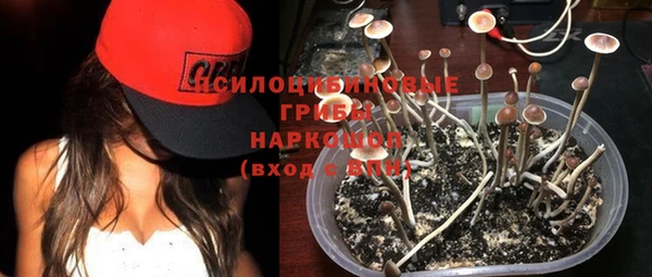 ГАЛЛЮЦИНОГЕННЫЕ ГРИБЫ Мегион